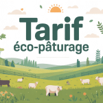 illustration éco-pâturage tarif paysage prairies animaux économie écologique