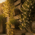 idee pour cacher un mur exterieur avec plantes grimpantes et panneaux bois