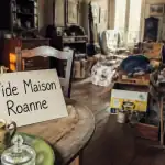 vide maison roanne salon en désordre